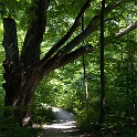 Ridgewood Falls Montville Duchek 5765